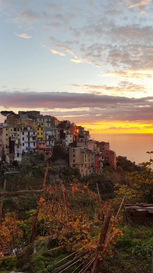 Terre Apartment Corniglia Kültér fotó
